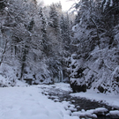 Winter - Eis - Frutz 010 189.jpg