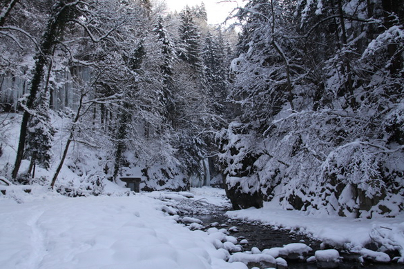 Winter - Eis - Frutz 010 189.jpg