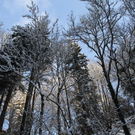 Winter - Eis - Frutz 010 197.jpg