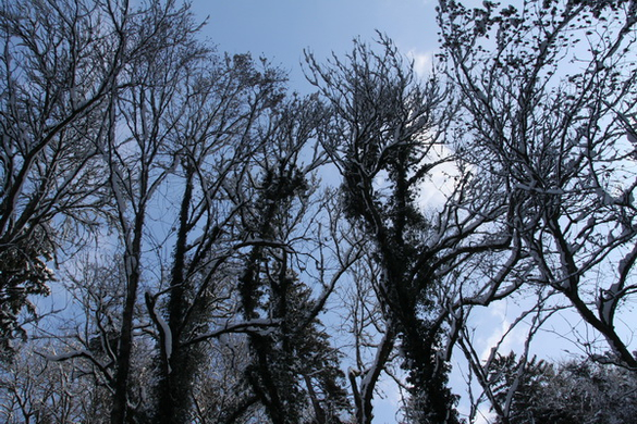 Winter - Eis - Frutz 010 200.jpg