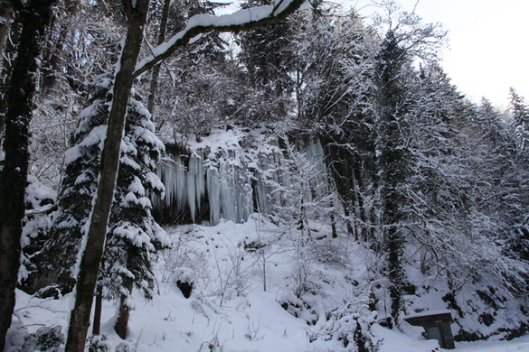 Winter - Eis - Frutz 010 204.jpg