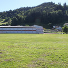 IMG_3243.JPG