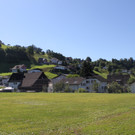 IMG_3244.JPG