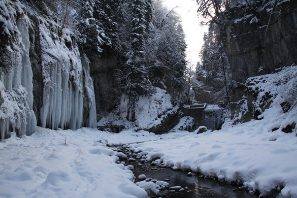 Winter - Eis - Frutz 010 227.jpg