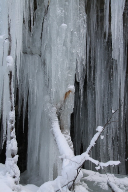 Winter - Eis - Frutz 010 247.jpg