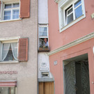 IMG_2482.JPG