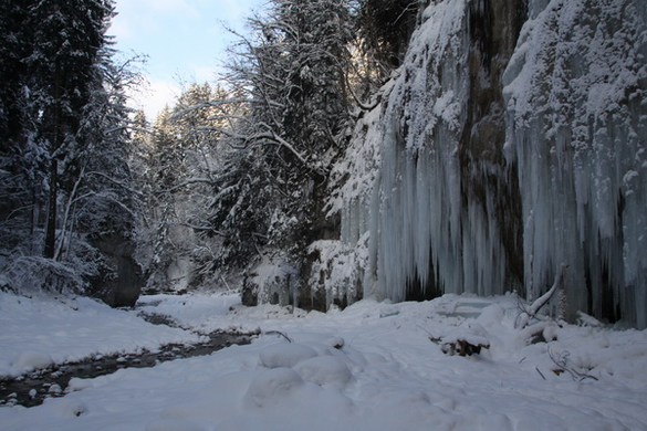 Winter - Eis - Frutz 010 268.jpg