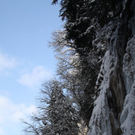 Winter - Eis - Frutz 010 275.jpg