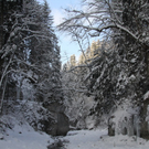 Winter - Eis - Frutz 010 295.jpg