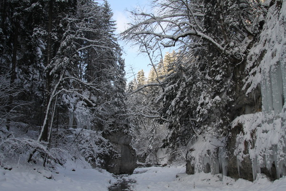 Winter - Eis - Frutz 010 295.jpg