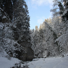 Winter - Eis - Frutz 010 311.jpg