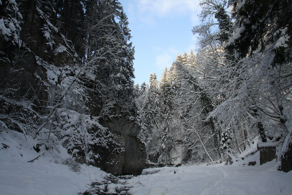 Winter - Eis - Frutz 010 311.jpg