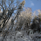 Winter - Eis - Frutz 010 316.jpg