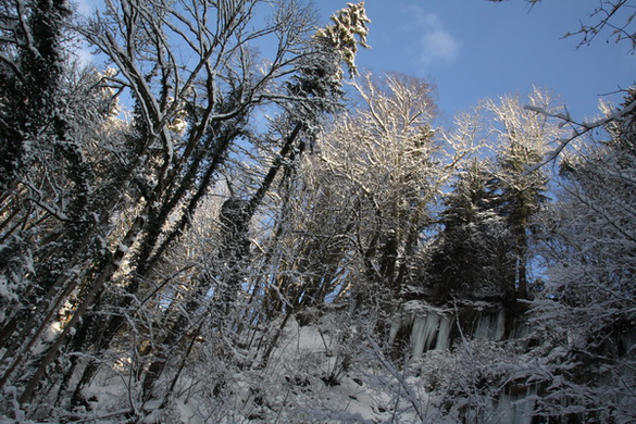 Winter - Eis - Frutz 010 316.jpg