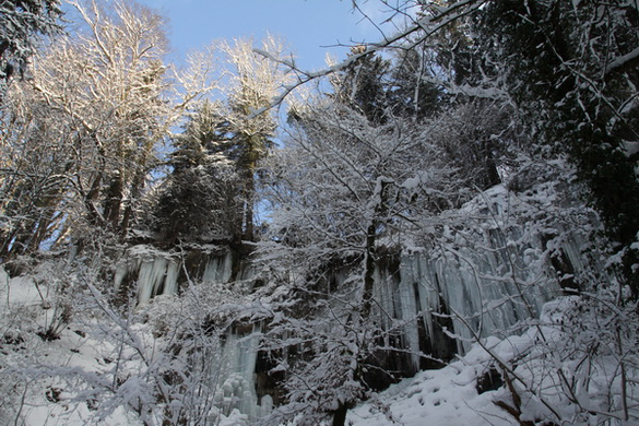 Winter - Eis - Frutz 010 319.jpg
