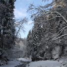 Winter - Eis - Frutz 010 325.jpg