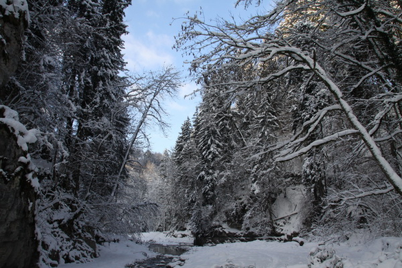 Winter - Eis - Frutz 010 325.jpg