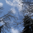 Winter - Eis - Frutz 010 339.jpg