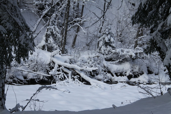 Winter - Eis - Frutz 010 342.jpg