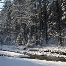Winter - Eis - Frutz 010 363.jpg