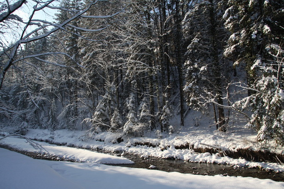 Winter - Eis - Frutz 010 363.jpg