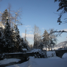 Winter - Eis - Frutz 010 382.jpg
