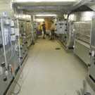 DSCN7513_JPG-1343892598