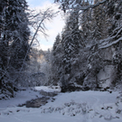 Winter Frutz 211.jpg