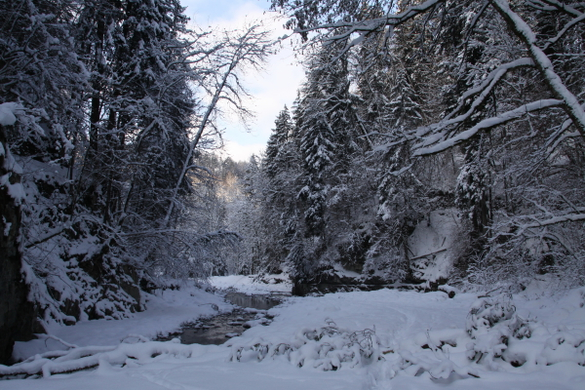 Winter Frutz 211.jpg