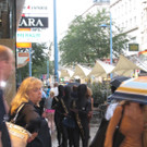 Velvet Cats in der Wiener City4.jpg