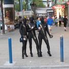 Velvet Cats in der Wiener City1.jpg