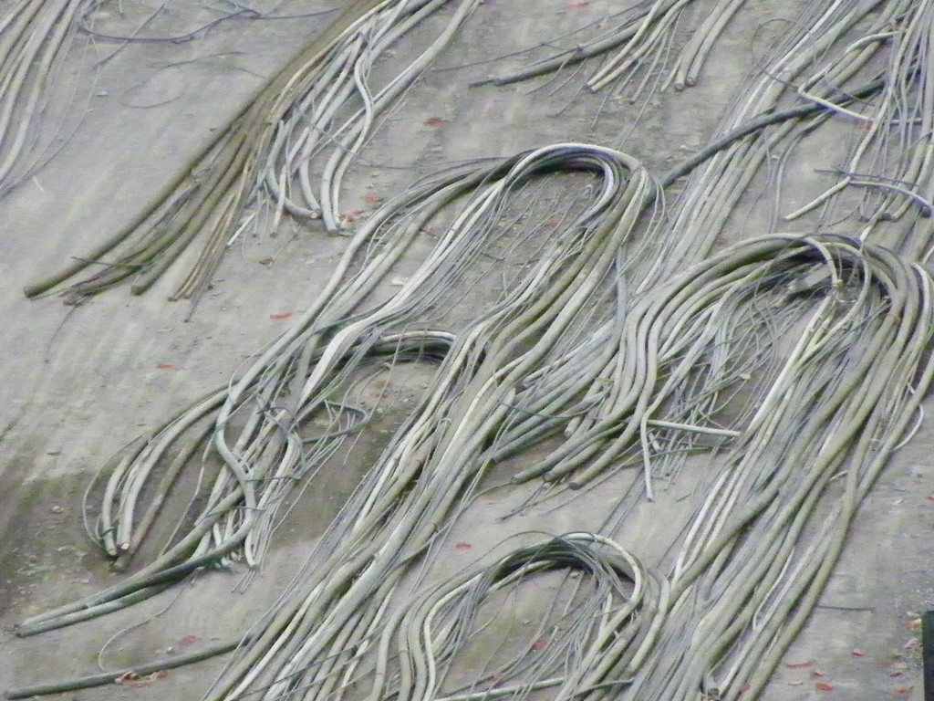 115_4156_JPG-1343917785