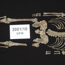 DAB0773-20110901.jpg