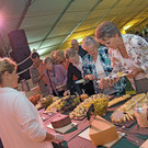 Foto4.JPG
