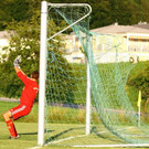 normal_02032012fmt_elsbethenhallein_ta_018.JPG