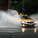 IBD0976-20120802.jpg