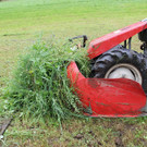 03082012landwirtde01001aktivnews_14.jpg