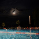 KOE_Volmondschwimmen 2012 18_jpg-1344008020