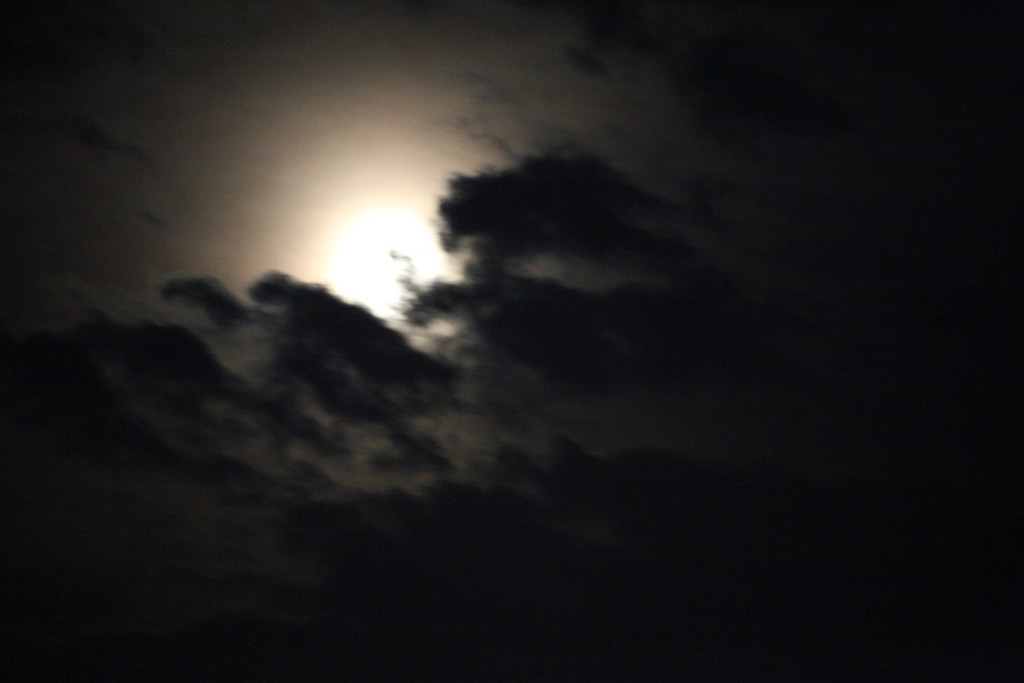 KOE_Volmondschwimmen 2012 38_jpg-1344008131