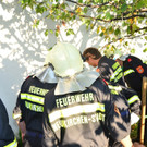 2012-08-03_Tierrettung-Neunkirchen_1200px _5_.JPG