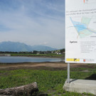 DSCN7583_JPG-1344072858