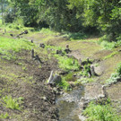 DSCN7592_JPG-1344073102