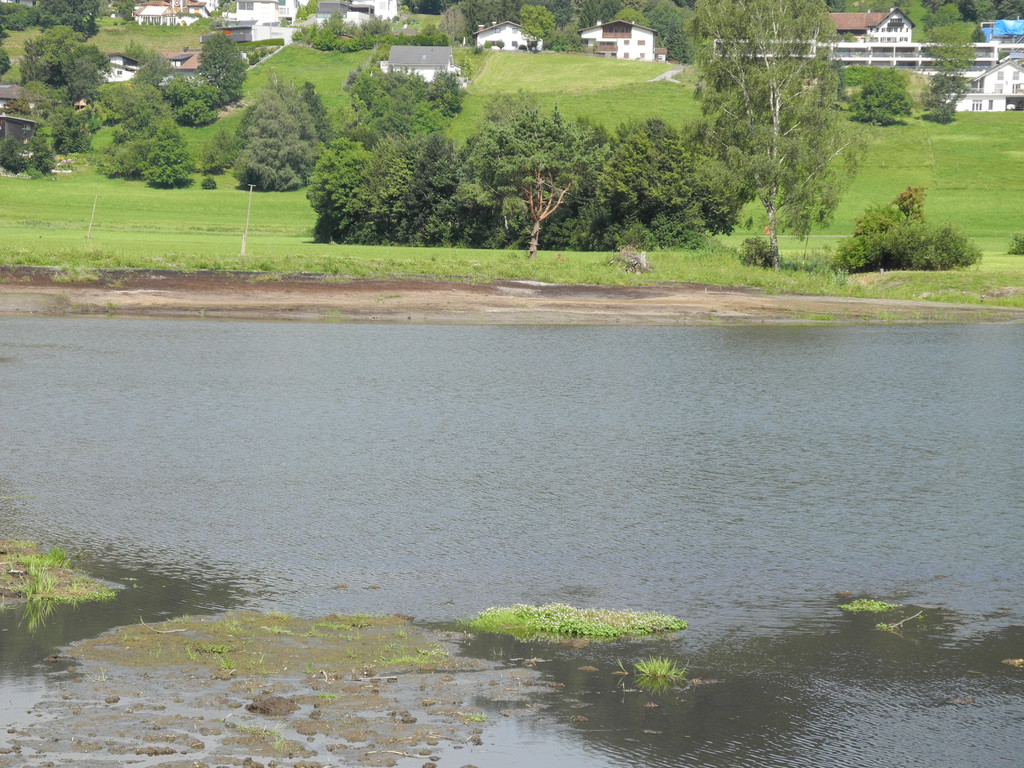 DSCN7594_JPG-1344073155