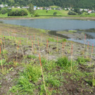 DSCN7595_JPG-1344073179