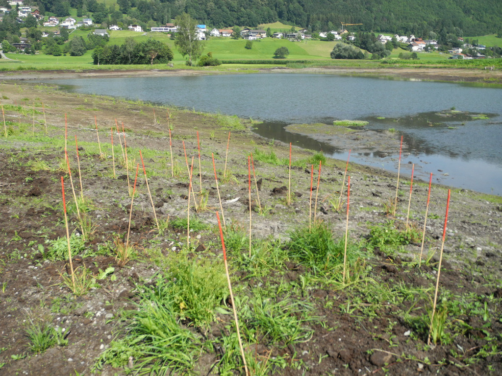 DSCN7595_JPG-1344073179