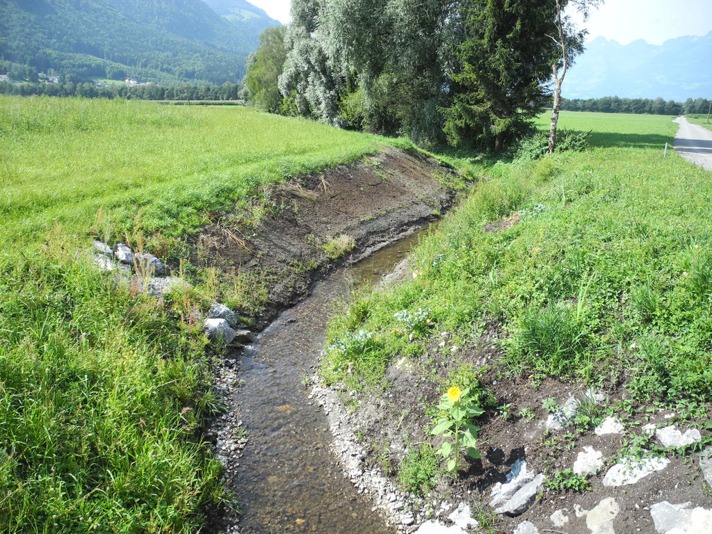 DSCN7602_JPG-1344073316