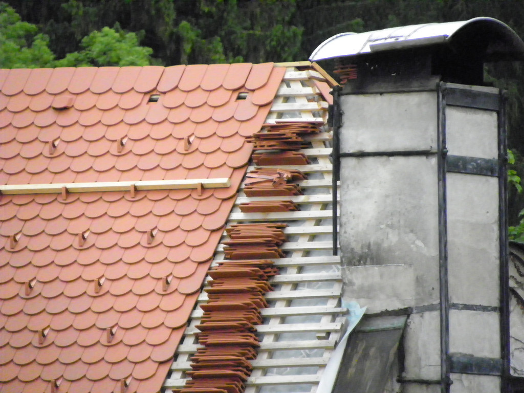 114_8118_JPG-1344083198