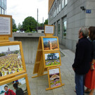 115_4276_JPG-1344083761