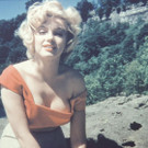 file647jixr8nuupvjtvdsw.jpg