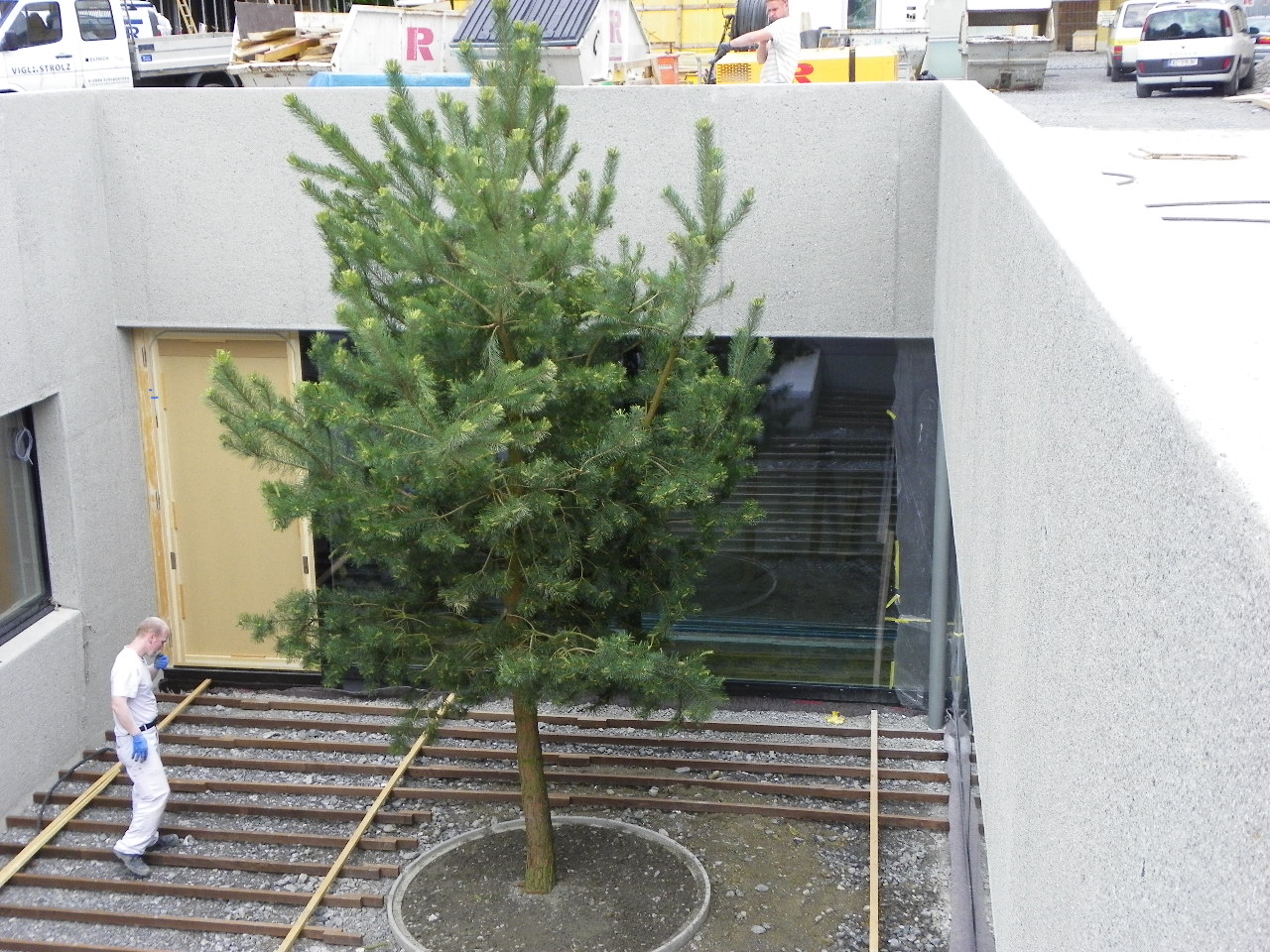 114_8051_JPG-1344087016